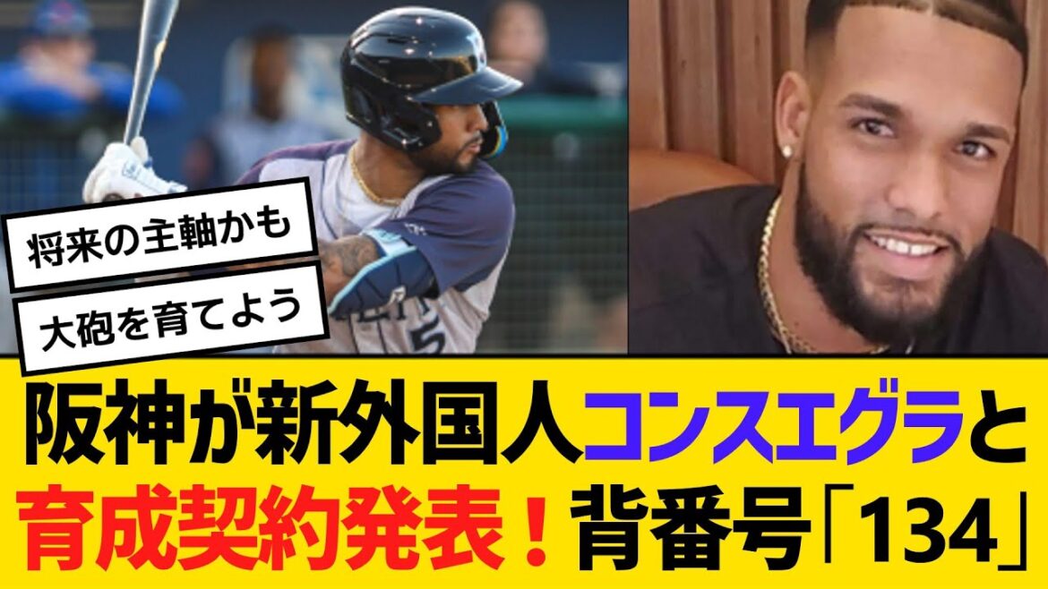 阪神が新外国人コンスエグラと育成契約締結を発表！背番号「134」長打力が魅力　【ネットの反応】【反応集】