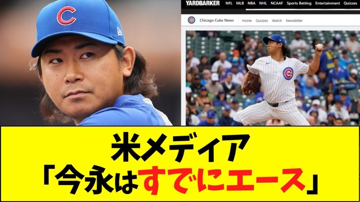米メディア「今永はすでにカブスのエース」