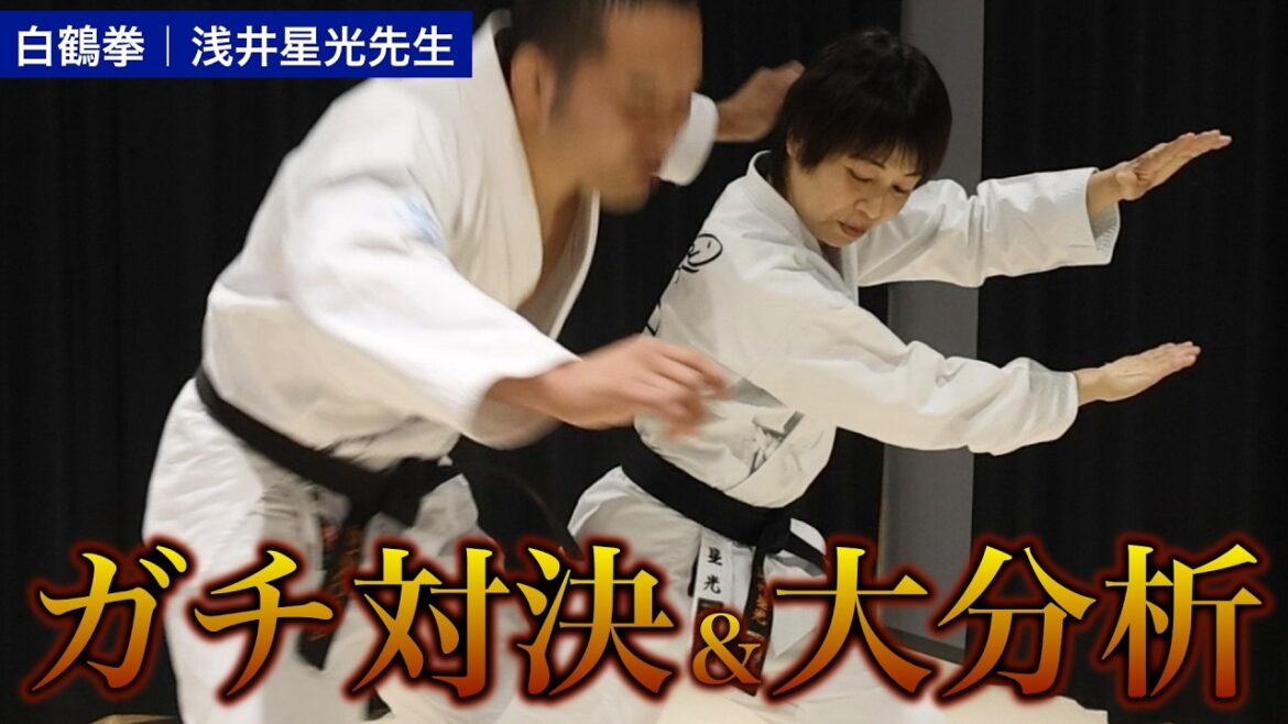 【浅井星光】徹底分析！ ほしみんの華麗な動きに隠された危険な罠【白鶴拳】