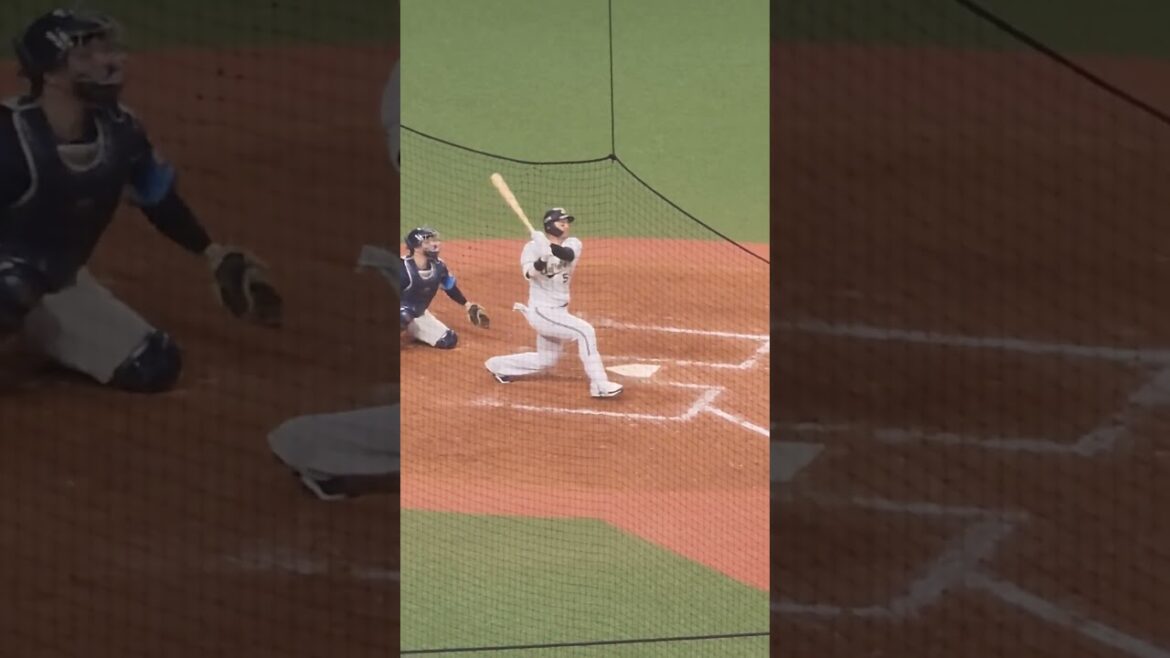 T-岡田選手 プロ野球生活最後の打席 特大ファール #プロ野球 #オリックスバファローズ #t岡田 #引退試合