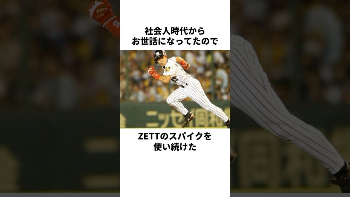 「4種類のスパイク」赤星憲広についての雑学 #野球 #野球雑学 #赤星憲広 #阪神タイガース