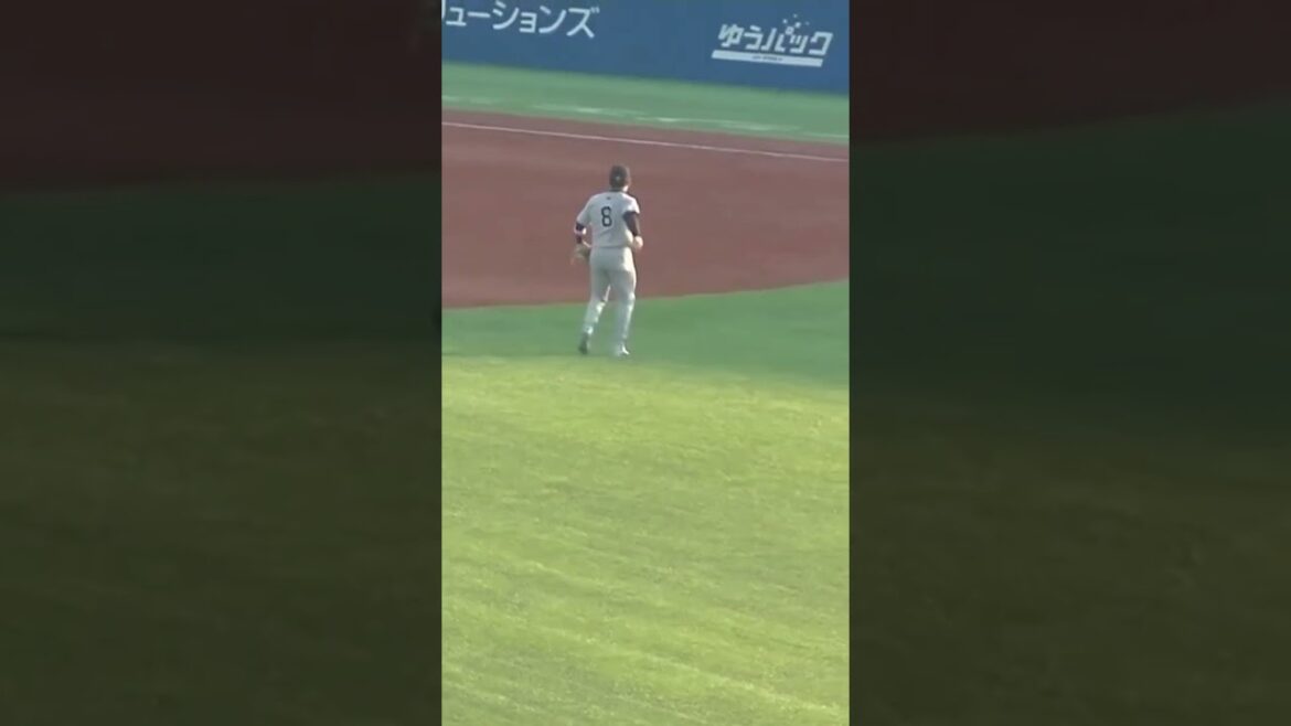 丸佳浩のキャッチボール（ヤクルトスワローズ対 読売ジャイアンツ 2024年7月5日）