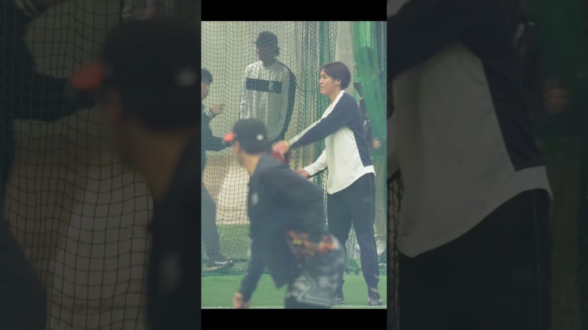 【巨人】大勢選手がオリオールズの帽子をかぶってキャッチボール #shorts #baseball #sports #ジャイアンツ #巨人 #プロ野球 【巨人】大勢選手がオリオールズの帽子をかぶってキャッチボール #shorts #baseball #sports #ジャイアンツ #巨人 #プロ野球