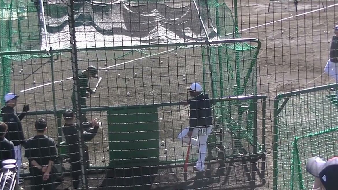 【ジャイアンツ】山瀬慎之助のフリーバッティング ウィーラーコーチが見守る【巨人 秋季練習 2024年11月7日】 #読売ジャイアンツ