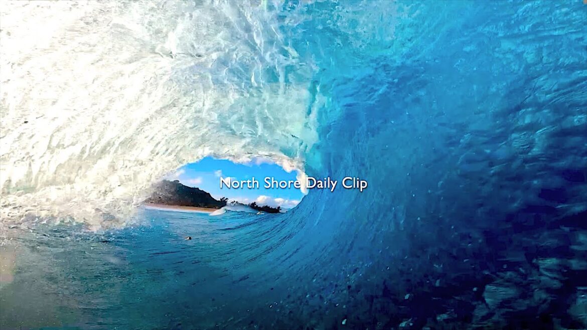 『North Shore Daily Clip』2024.12.31 @ OTW