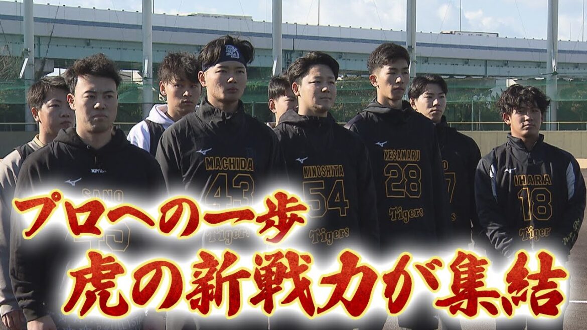 【新人合同自主トレ】期待のルーキーが鳴尾浜で始動！！藤川新監督も視察！