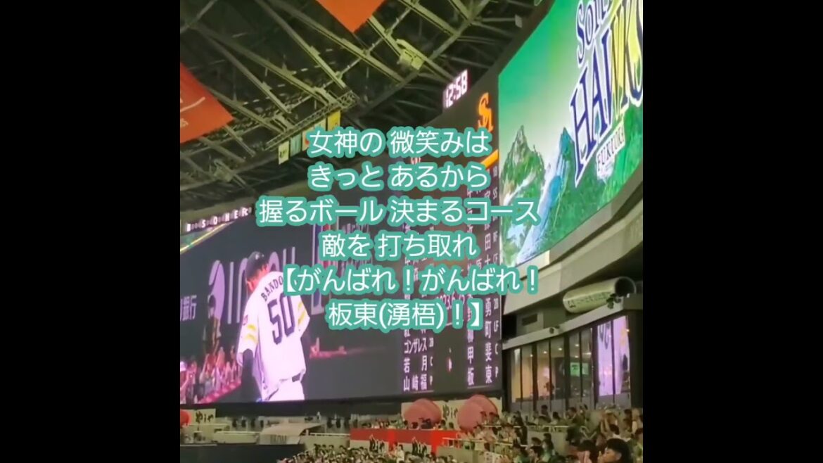 20230625　投手応援歌！【板東湧梧 応援歌】　#shorts　福岡ｿﾌﾄﾊﾞﾝｸﾎｰｸｽ@みずほPayPayﾄﾞｰﾑ福岡･外野ﾗｲﾄ ﾌｧｲﾄ!九州ﾃﾞｰ