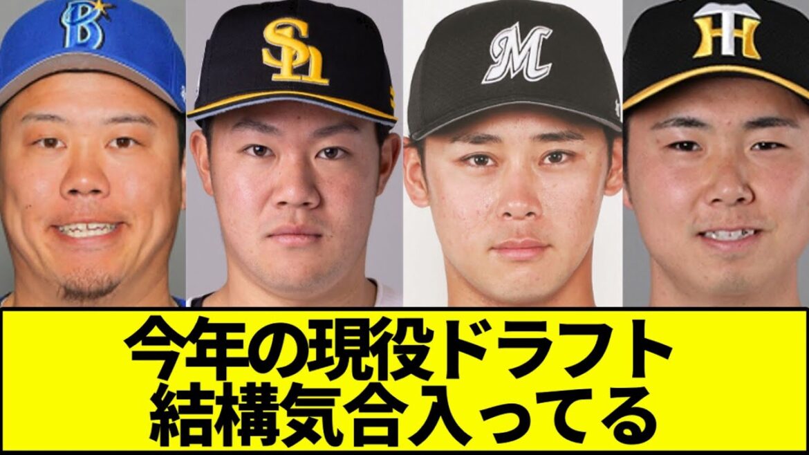 今年の現役ドラフト、結構気合入ってる【なんJ反応】【なんG反応】【プロ野球反応集】【2chスレ】【5chスレ】【上茶谷】【吉田】【石垣】【矢崎】【田中瑛斗】【平沢】【畠】【浜地】【山足】【鈴木】