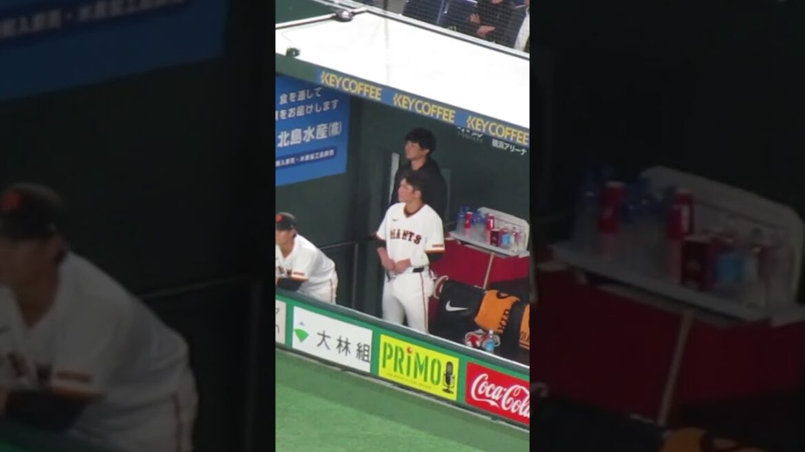 ベルトを締め直す坂本勇人2024年4月25日 読売ジャイアンツ 対 中日ドラゴンズ