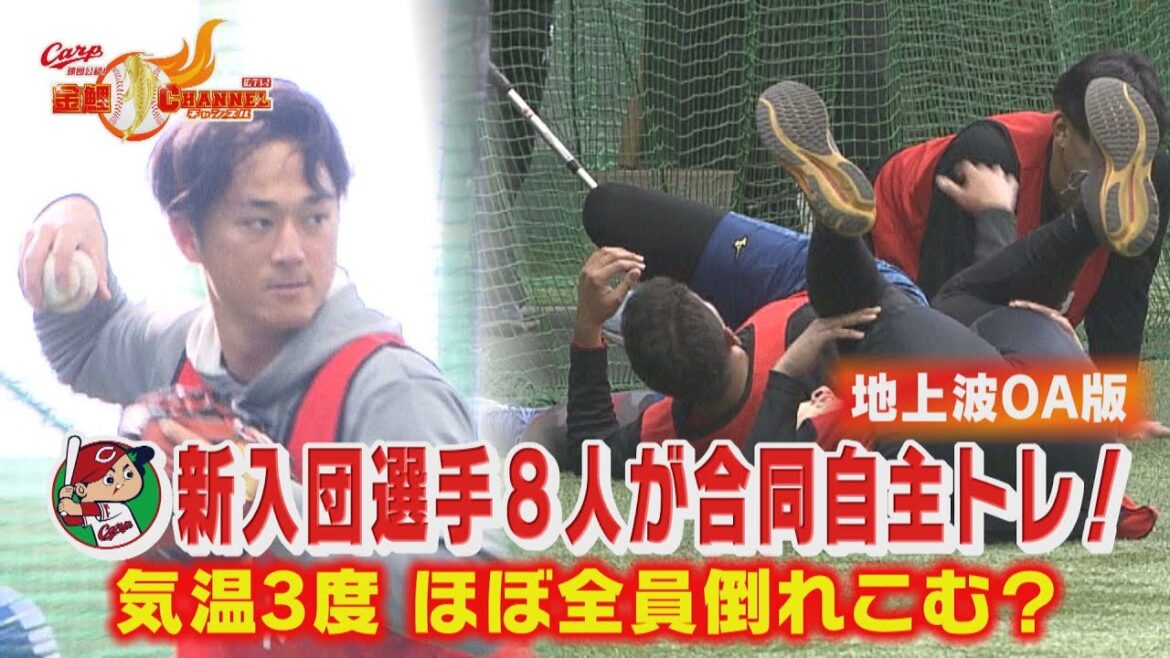 【プロ初練習】ルーキー８人が合同自主トレ【カープ公認】金鯉チャンネル /広テレ！