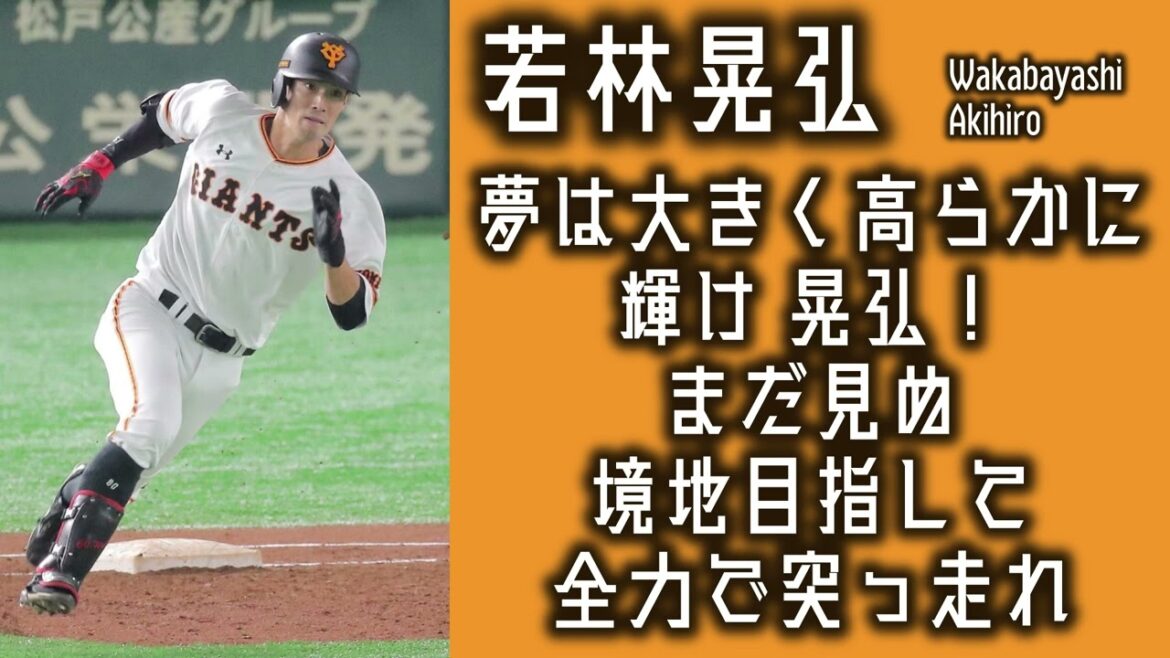 【作業用】若林晃弘応援歌30分耐久【睡眠用】