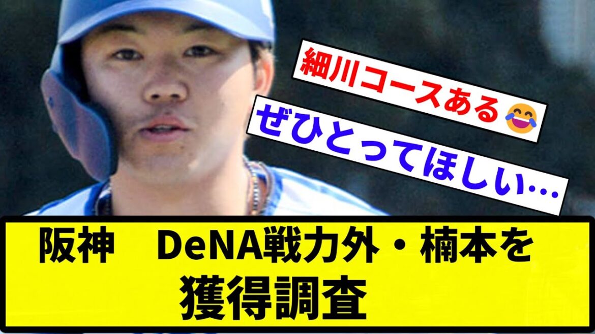 【調査してんねん！】阪神　DeNA戦力外・楠本を獲得調査【プロ野球反応集】【1分動画】【プロ野球反応集】