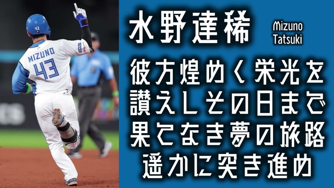 【作業用】水野達稀応援歌30分耐久【睡眠用】