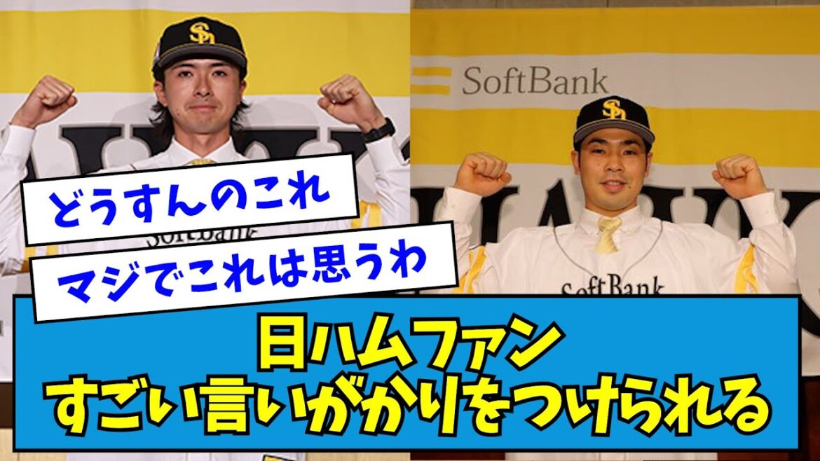 【そんなバカな】日ハムファン、すごい言いがかりをつけられるwwwww【なんJ反応】