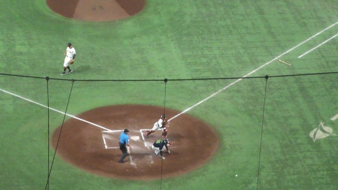 ヤクルト 中村悠平 セーフティスクイズ成功 岸田行倫エラー　巨人 vs ヤクルト　2024年8月2日(金) 東京ドーム