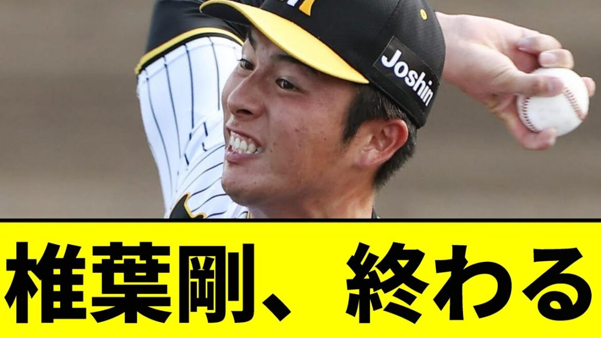 【悲報】椎葉のストレート...【2chスレ】