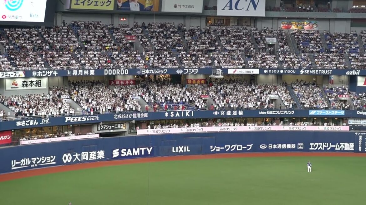 オリックス・バファローズ 廣岡大志 応援歌 in京セラドーム大阪 2024 9-24