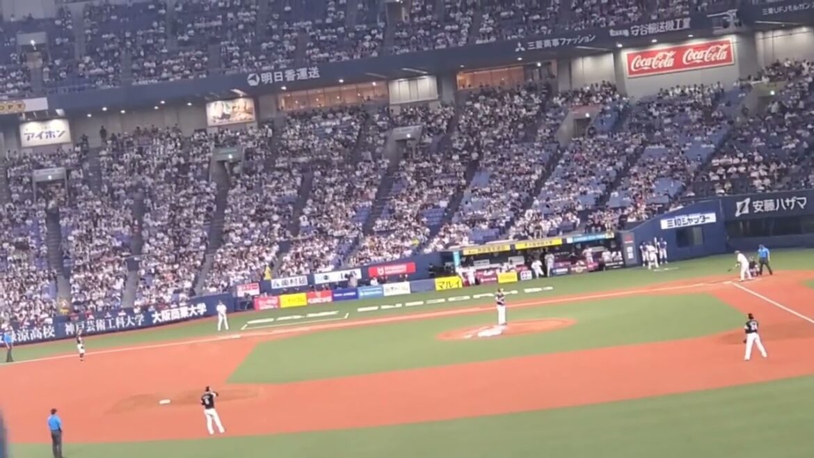 20240710 星となれ♪【太田椋 応援歌】 3回ウラ オリックス・バファローズ@京セラドーム大阪・レフト外野下段 20240710 星となれ♪【太田椋 応援歌】 3回ウラ オリックス・バファローズ@京セラドーム大阪・レフト外野下段