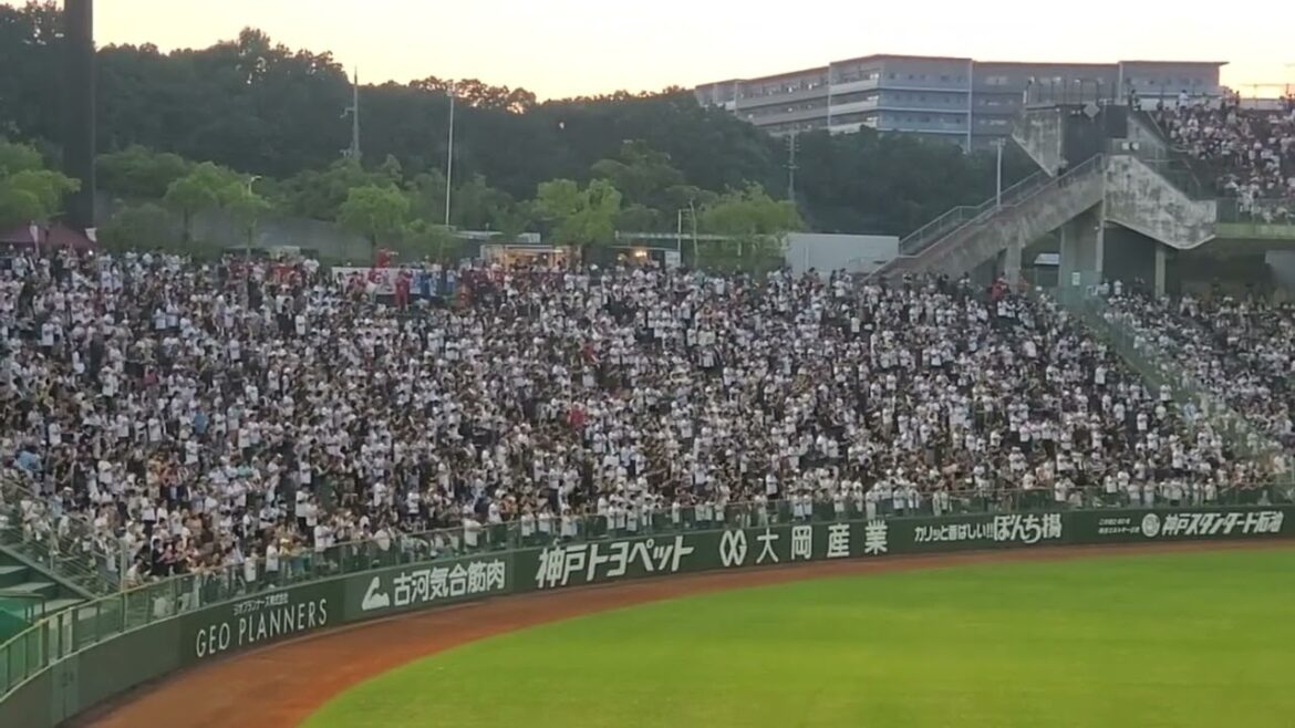 20240721　現ﾄﾞﾗでｶｰﾌﾟへ！【山足達也 応援歌】　8回ｳﾗ　ｵﾘｯｸｽ･ﾊﾞﾌｧﾛｰｽﾞ@ほっともっとﾌｨｰﾙﾄﾞ神戸･ﾚﾌﾄ外野