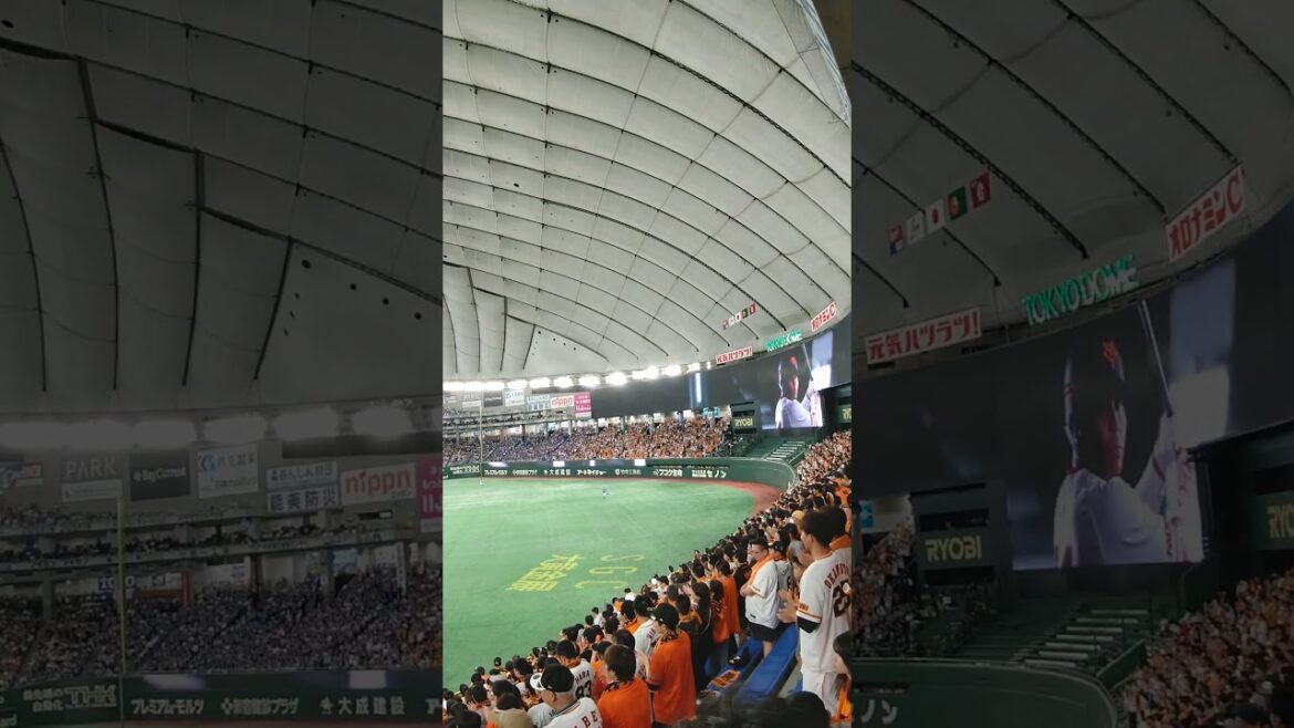 東京ドーム、大城あとひつ