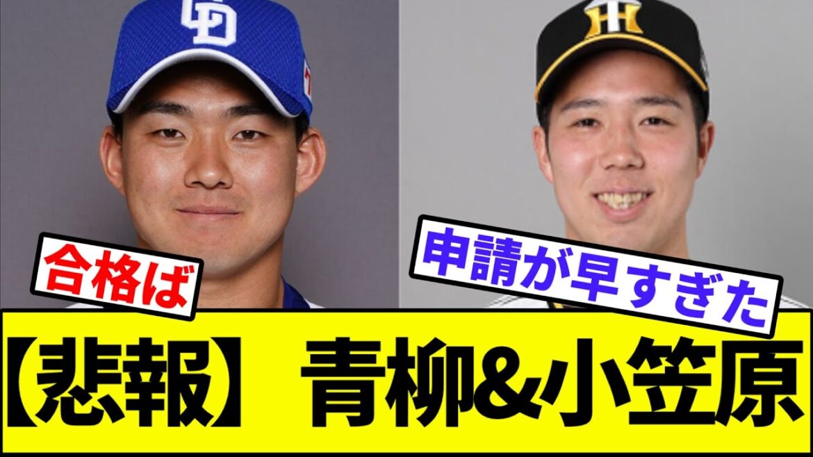 【悲報】青柳&小笠原【なんJ反応】【なんG反応】【プロ野球反応集】【2chスレ】【5chスレ】【FA】【人的補償】【ポスティング】【MLB】