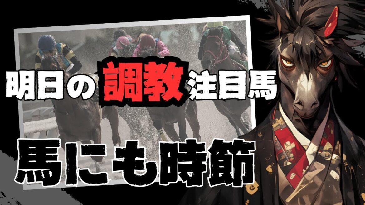 【馬にも時節】中山3R 新馬戦 今年もこのパターンの田中博康厩舎は買いまくります【明日の調教注目馬】
