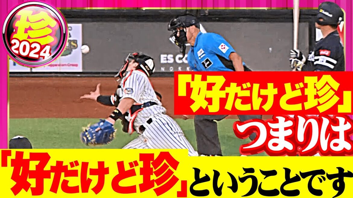 【好だけど】「好だけど珍」つまりは「好だけど珍」【珍】