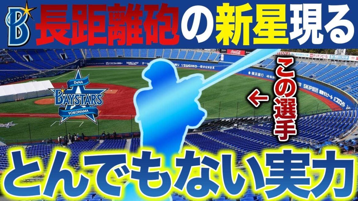 【待望】ホームランを打てる新星内野手現る 横浜DeNA 【待望】ホームランを打てる新星内野手現る 横浜DeNA