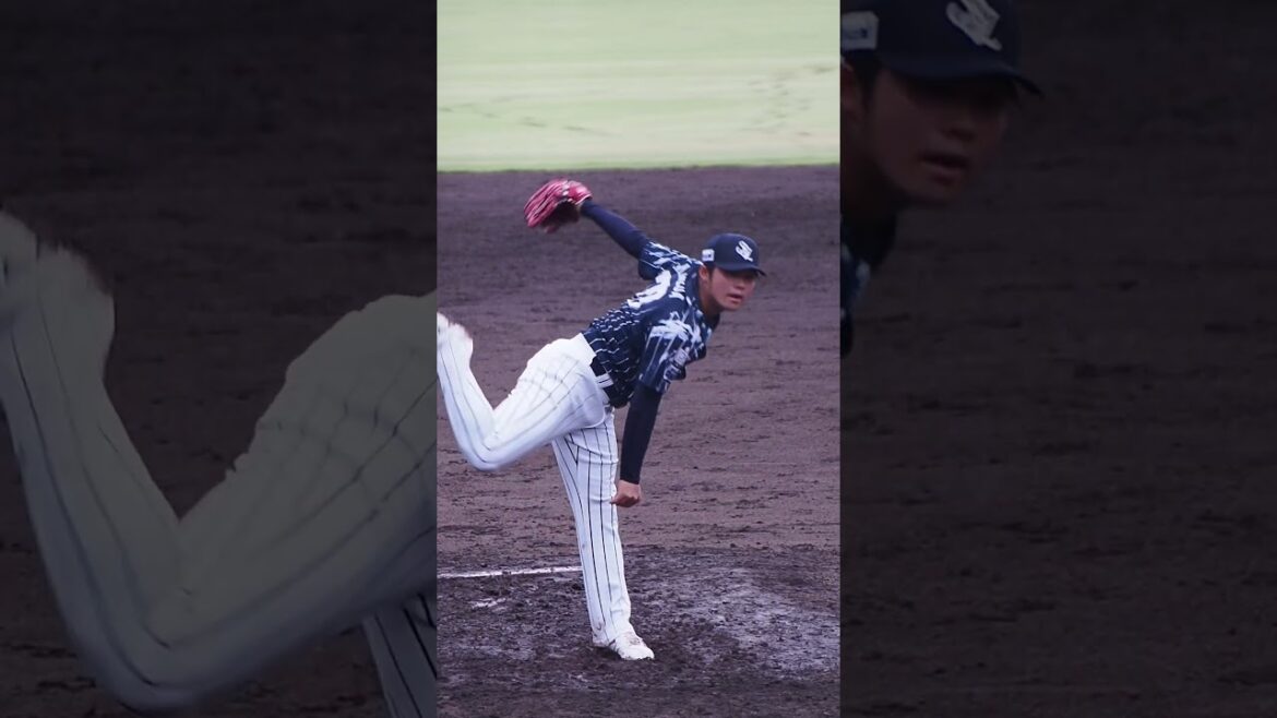 2024.08.27 埼玉西武-北海道日本ハム #豆田泰志 投球シーン (カーミニーク) #seibulions #プロ野球