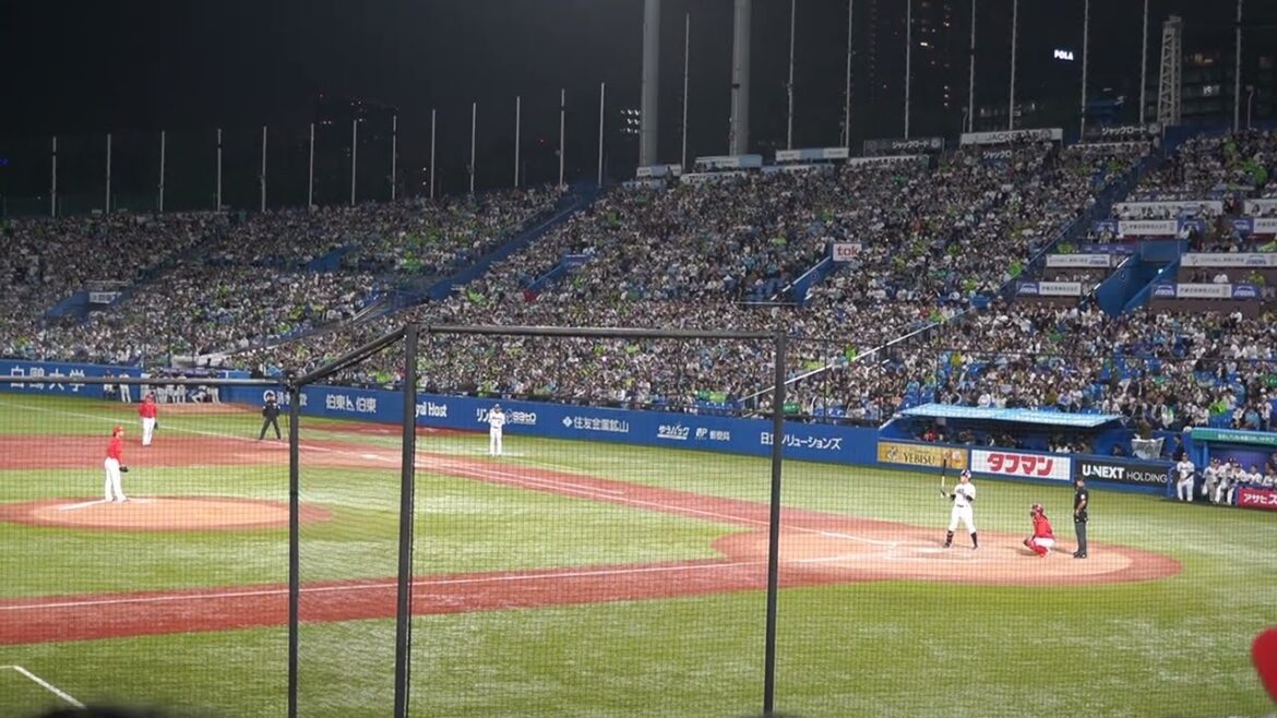 2024.10.3 東京ヤクルトスワローズ　山崎晃大朗の現役最終打席