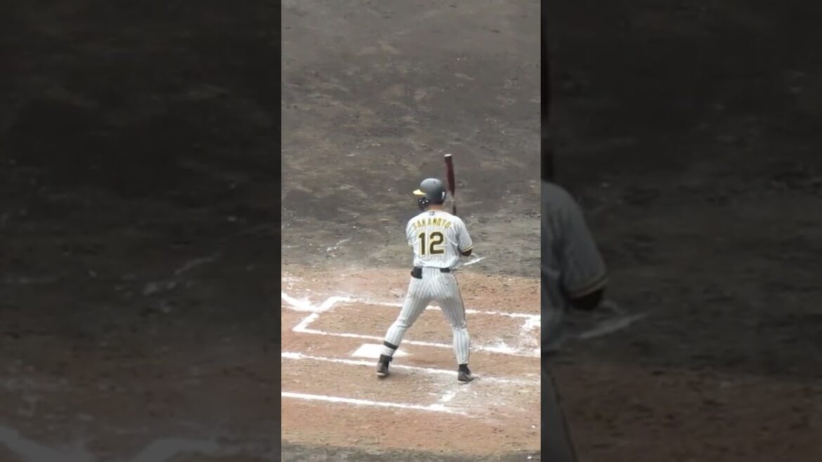 【タイガース】坂本誠志郎2024年 打撃フォーム（巨人阪神オープン戦2024年2月23日）