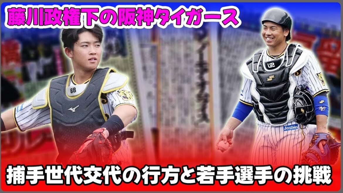 【野球】「藤川政権下の阪神タイガース：捕手世代交代の行方と若手選手の挑戦」 #藤川球児, #梅野隆太郎, #坂本誠志郎, #中川勇斗, #前川右京,