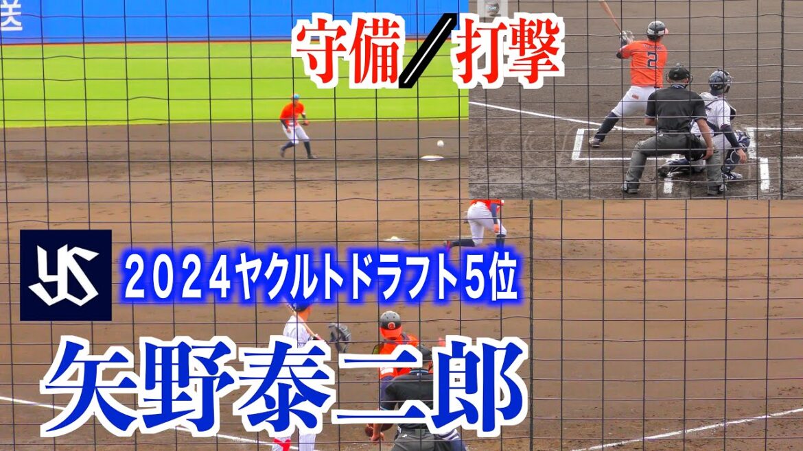 【２０２４ヤクルトドラフト５位】矢野泰二郎（済美→愛媛マンダリンパイレーツ）守備&打撃【２０２４東京ヤクルトスワローズ戦】