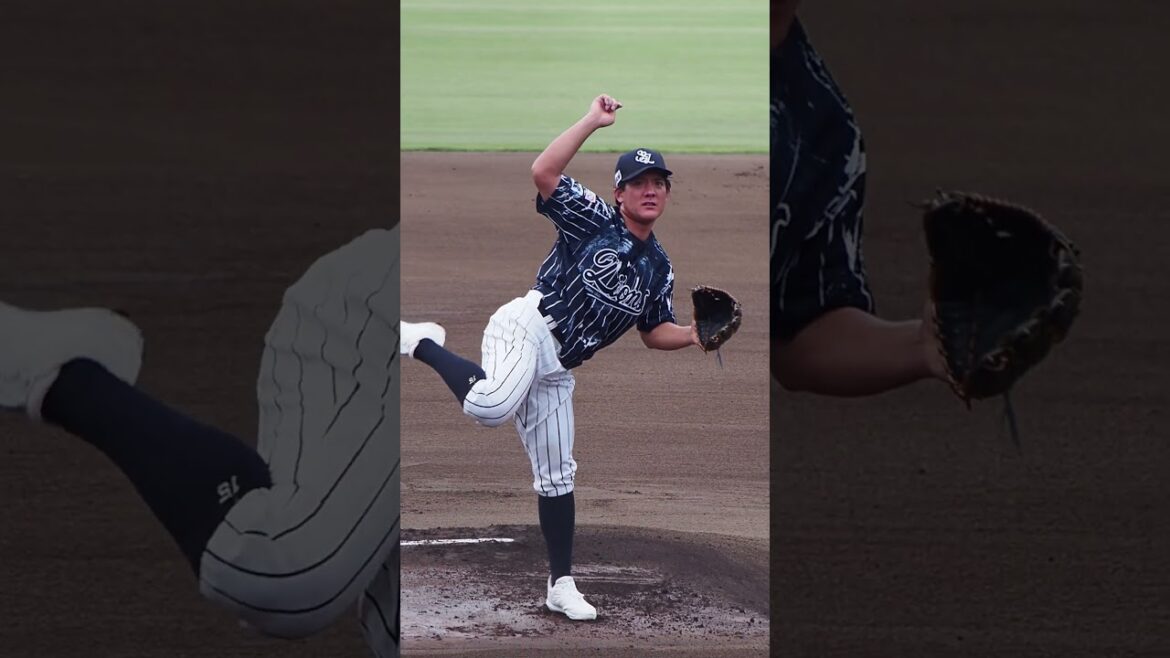 2024.09.01 埼玉西武-横浜DeNA #與座海人 投球シーン (カーミニーク) #seibulions #プロ野球