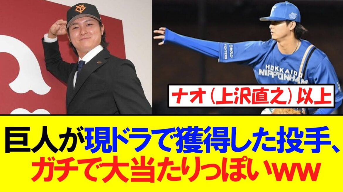 巨人が現役ドラフトで獲得した投手、ガチで『大当たり』っぽいww