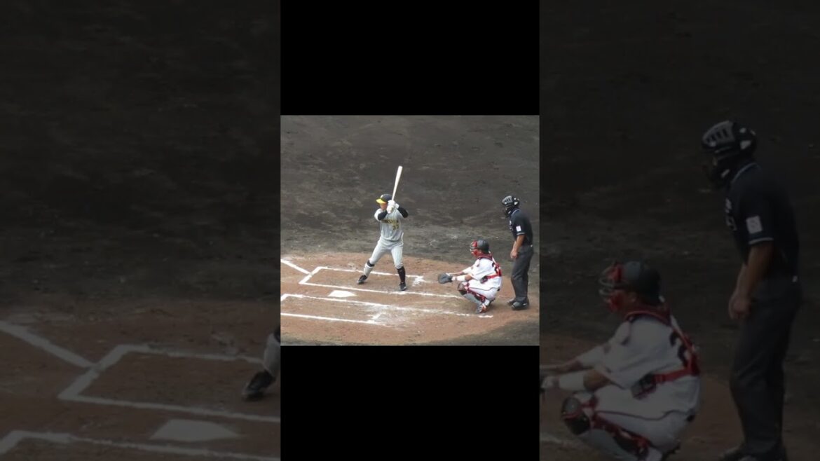 【タイガース】糸原健斗2024年 打撃フォーム（巨人阪神オープン戦2024年2月23日）