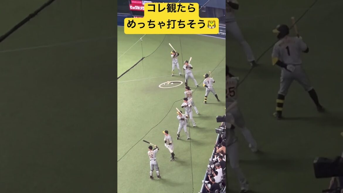 #tigers #阪神 選手の#shorts