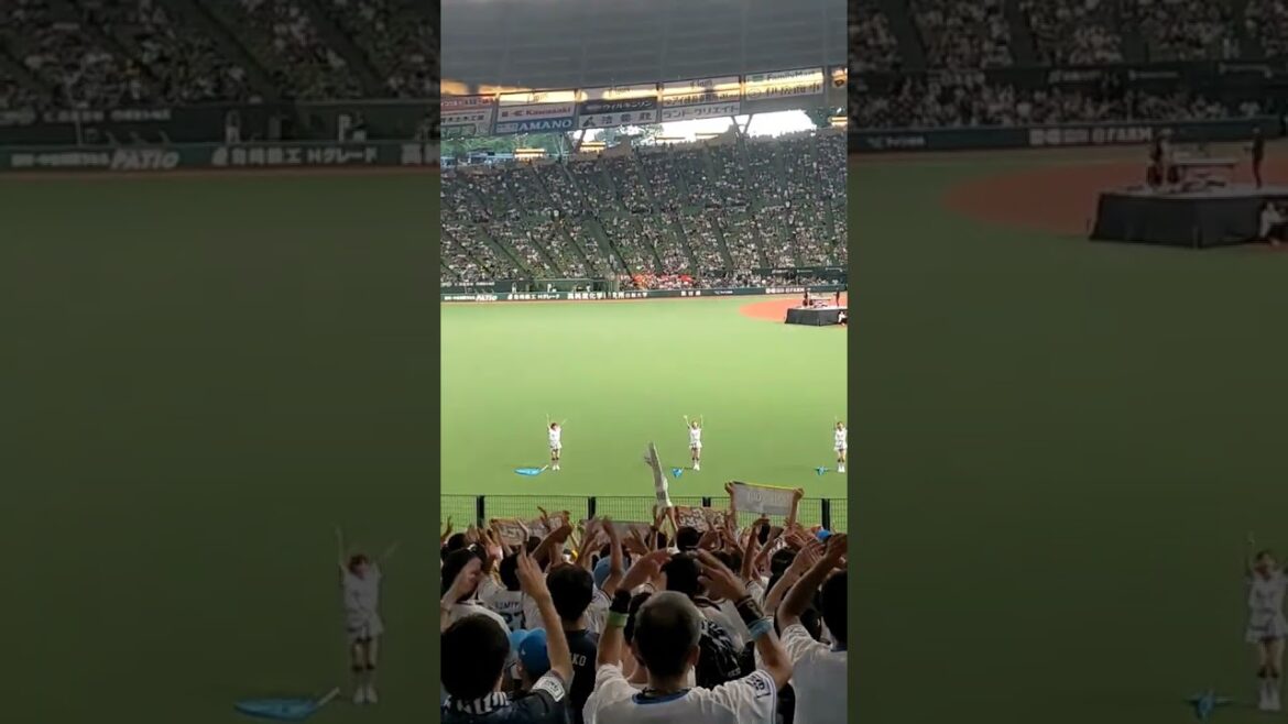 引退試合 岡田 スタメン 応援歌