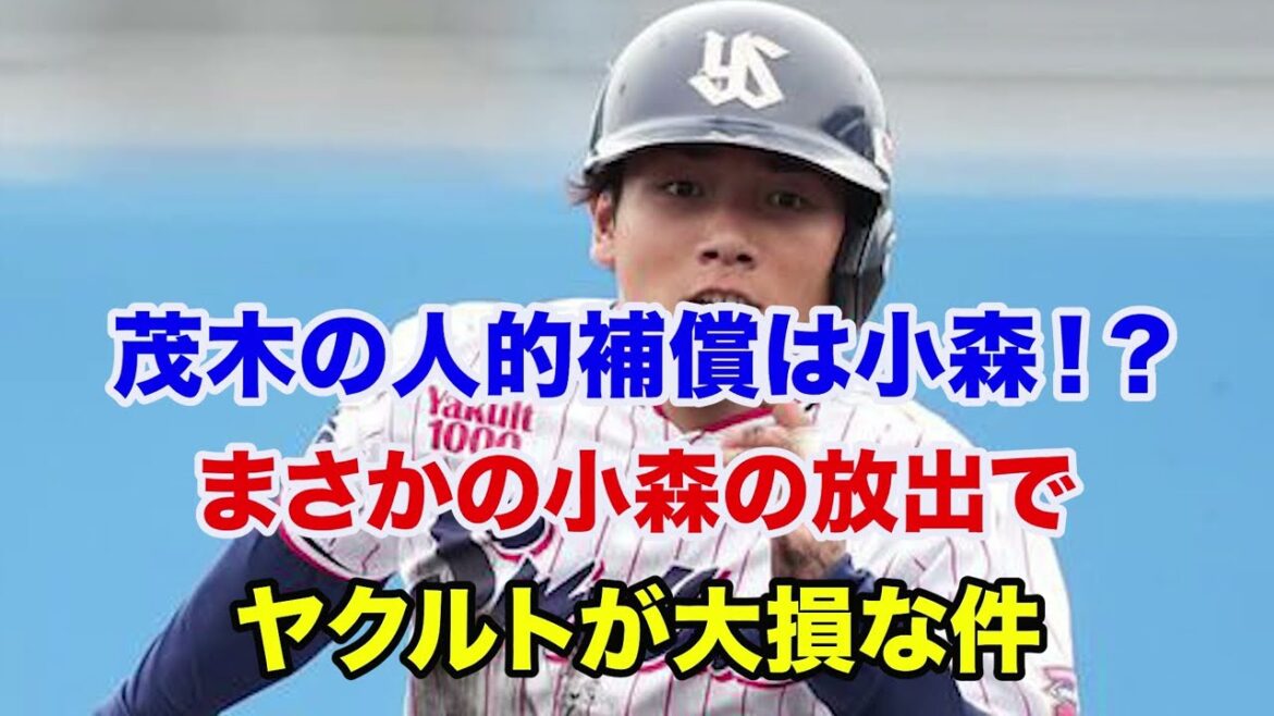 【茂木 人的補償】小森航太郎の楽天移籍はヤクルトが大損すぎる件