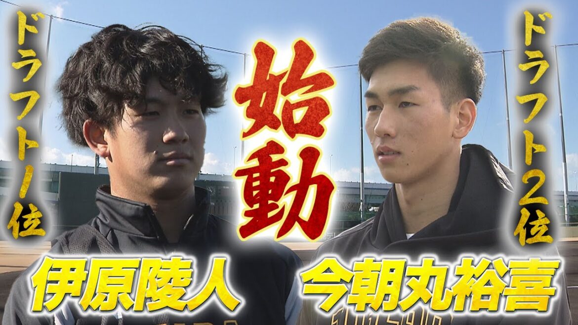 【新人合同自主トレ】ドラフト1位伊原陵人＆ドラフト2位今朝丸裕喜が意気込みを語る！！