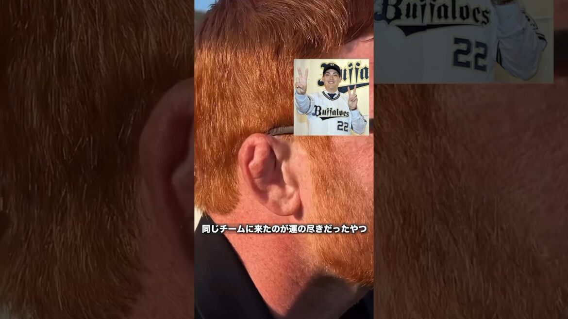 【オリックスバファローズ】同じ空間にバケモン集団がいた時の雰囲気www #プロ野球 #オリックス #先発ローテ #カスティーヨ #宮城大弥 #曽谷龍平 #九里亜蓮
