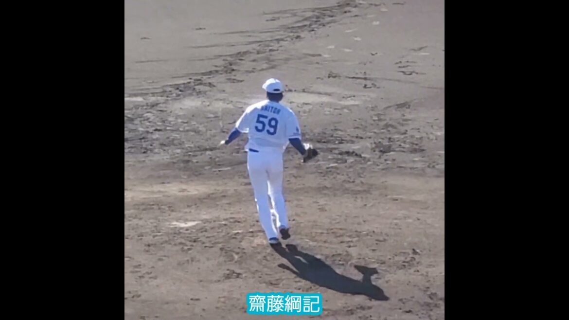 20241109　投内連携！ﾉｯｸを受ける #齋藤綱記　#shorts　#守備練習@ﾅｺﾞﾔ球場 秋季ｷｬﾝﾌﾟ2024