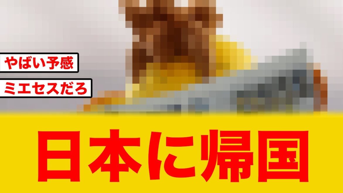 【阪神タイガース】近日入団会見阪神に強力な助っ人が帰国したぞ