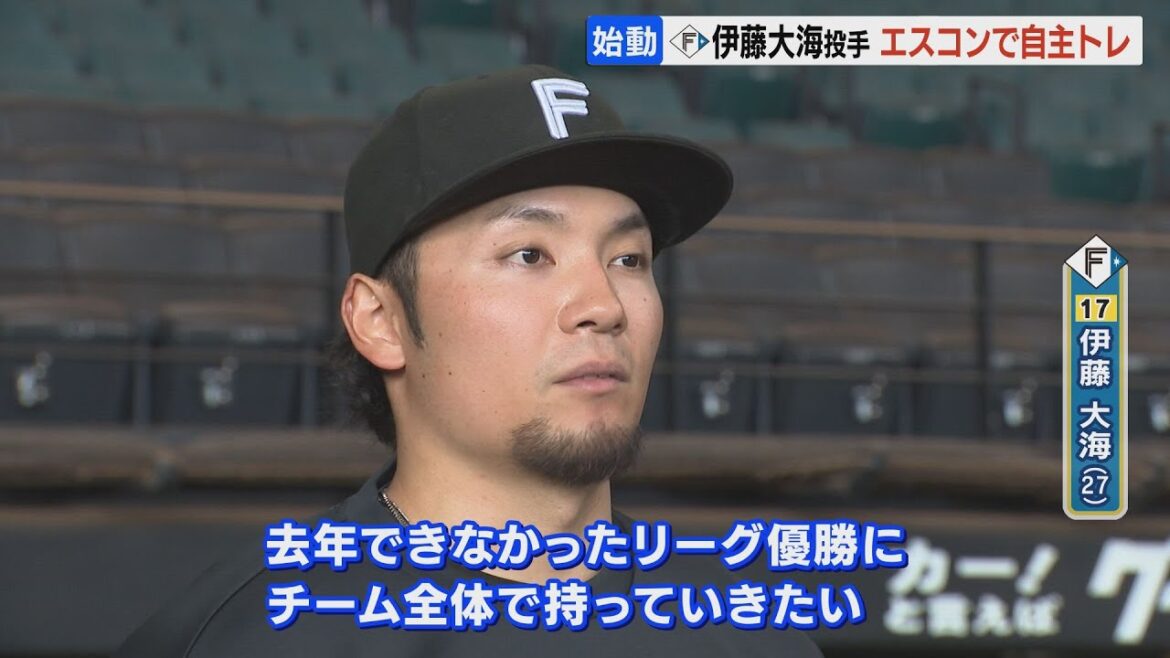 【ファイターズ】「チーム全体でリーグ優勝に」伊藤大海投手 半袖でエスコンF 自主トレ 【ファイターズ】「チーム全体でリーグ優勝に」伊藤大海投手 半袖でエスコンF 自主トレ
