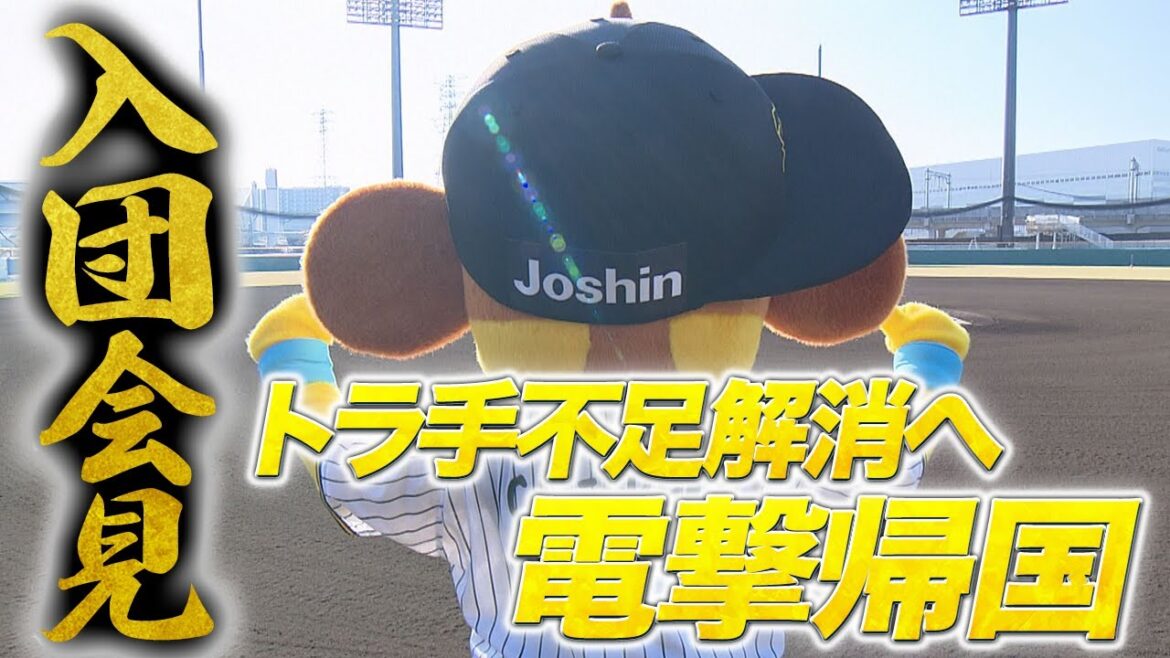 【新マスコット入団】トラ手不足解消のためコラッキーが緊急帰国！！