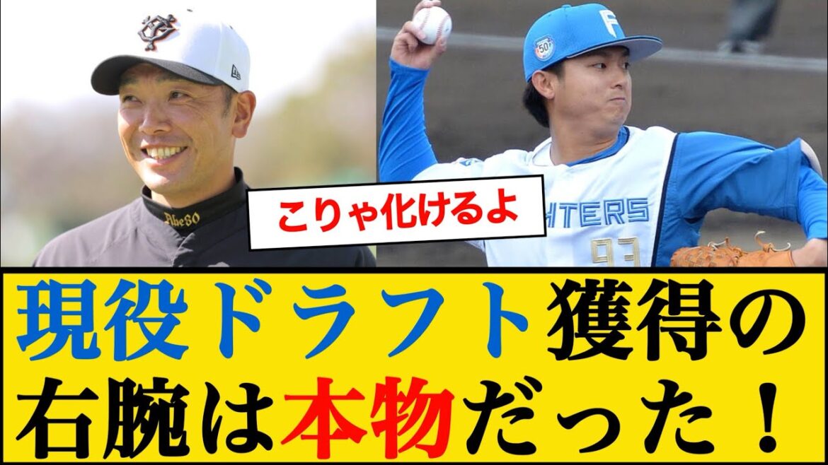 巨人に現役ドラフトで加入する田中瑛人は本物だった #巨人 #田中瑛人 #現役ドラフト 巨人に現役ドラフトで加入する田中瑛人は本物だった #巨人 #田中瑛人 #現役ドラフト