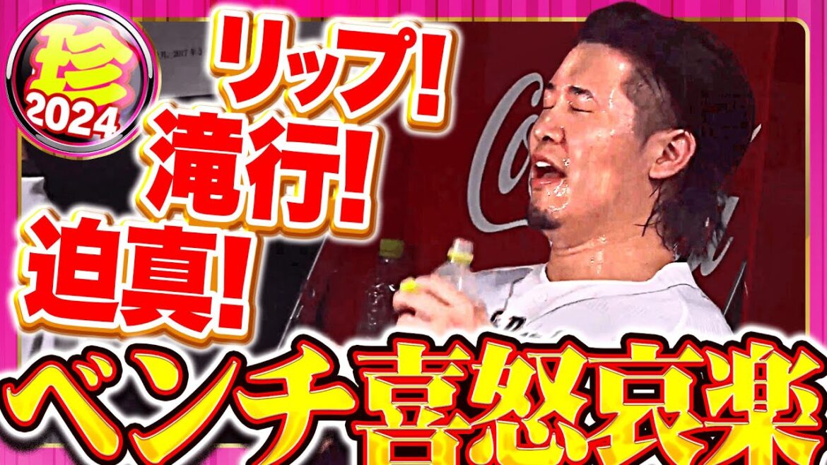 【色々起こる】ベンチ喜怒哀楽まとめ2024