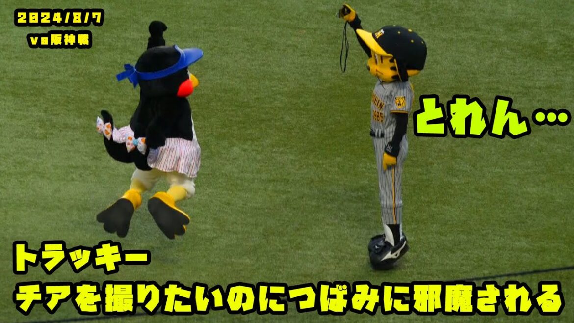 トラッキー　チアを撮りたいのにつばみに邪魔されちゃう！？　2024/8/7 vs阪神