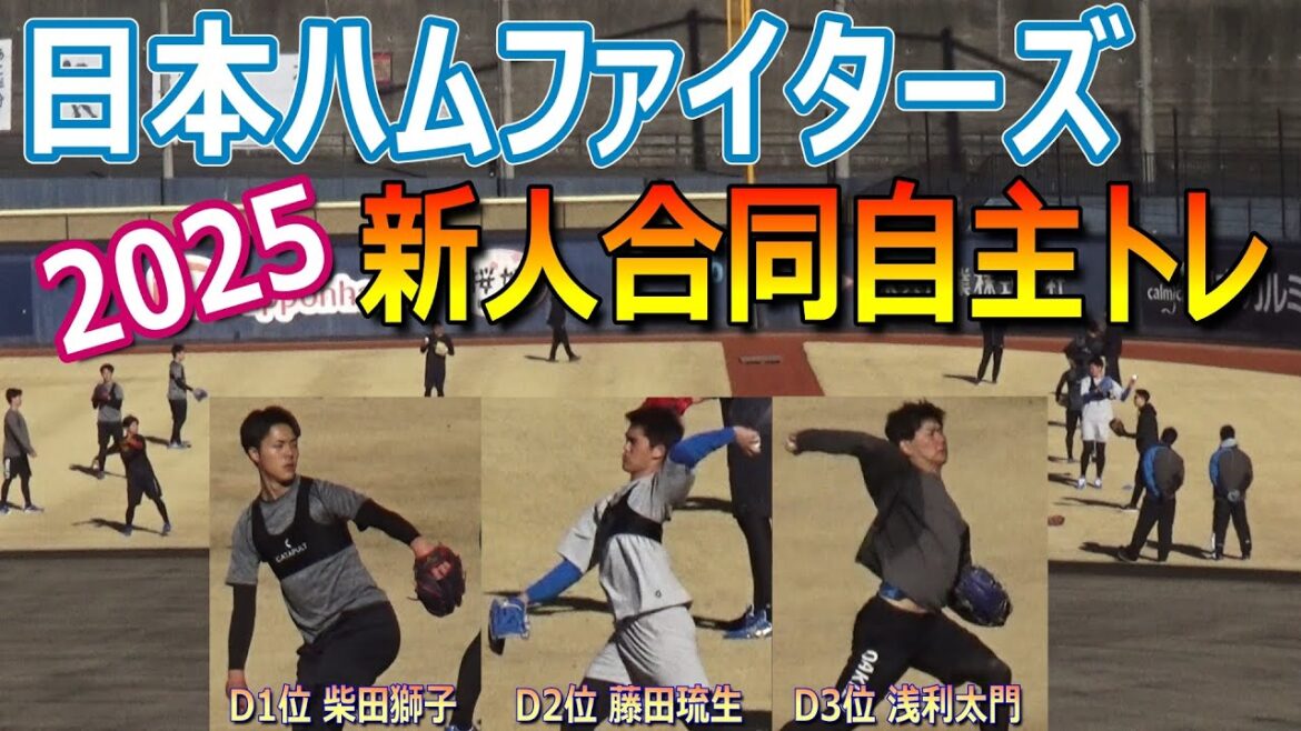 2025日本ハムファイターズ新人合同自主トレ/ドラフト1位・柴田獅子選手(福岡大大濠)ら新人8選手が鎌ヶ谷でキャチボール(2025年1月11日 鎌ヶ谷スタジアム) 2025日本ハムファイターズ新人合同自主トレ/ドラフト1位・柴田獅子選手(福岡大大濠)ら新人8選手が鎌ヶ谷でキャチボール(2025年1月11日 鎌ヶ谷スタジアム)