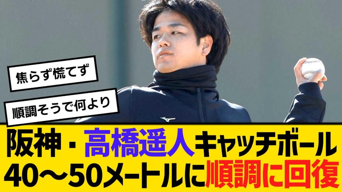 阪神・高橋遥人キャッチボール40～50メートルに「出力も上げられるようになった」順調に回復　【ネットの反応】【反応集】